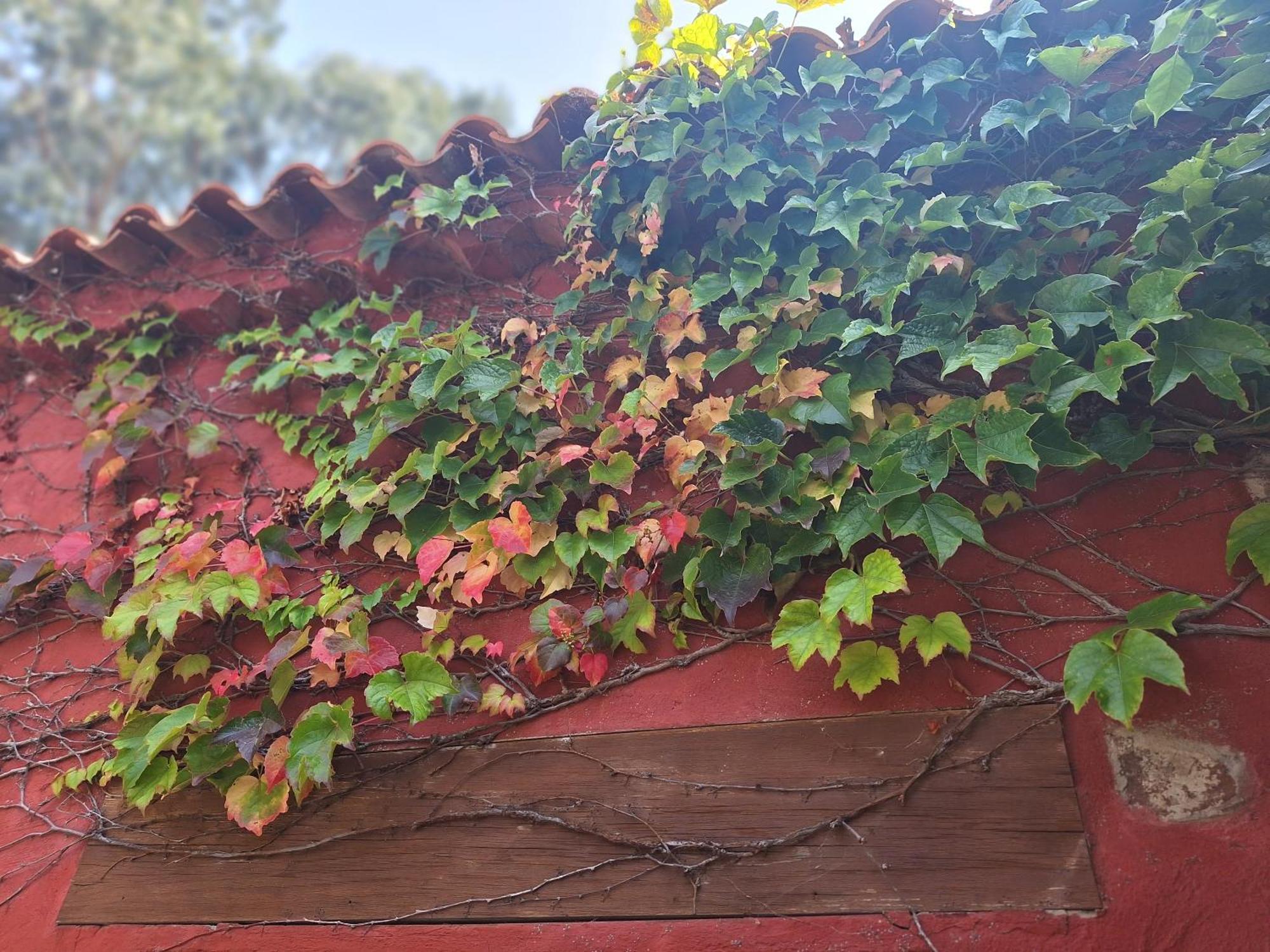 Casa Rural Con Piscina Privada El Roble Moya  Luaran gambar
