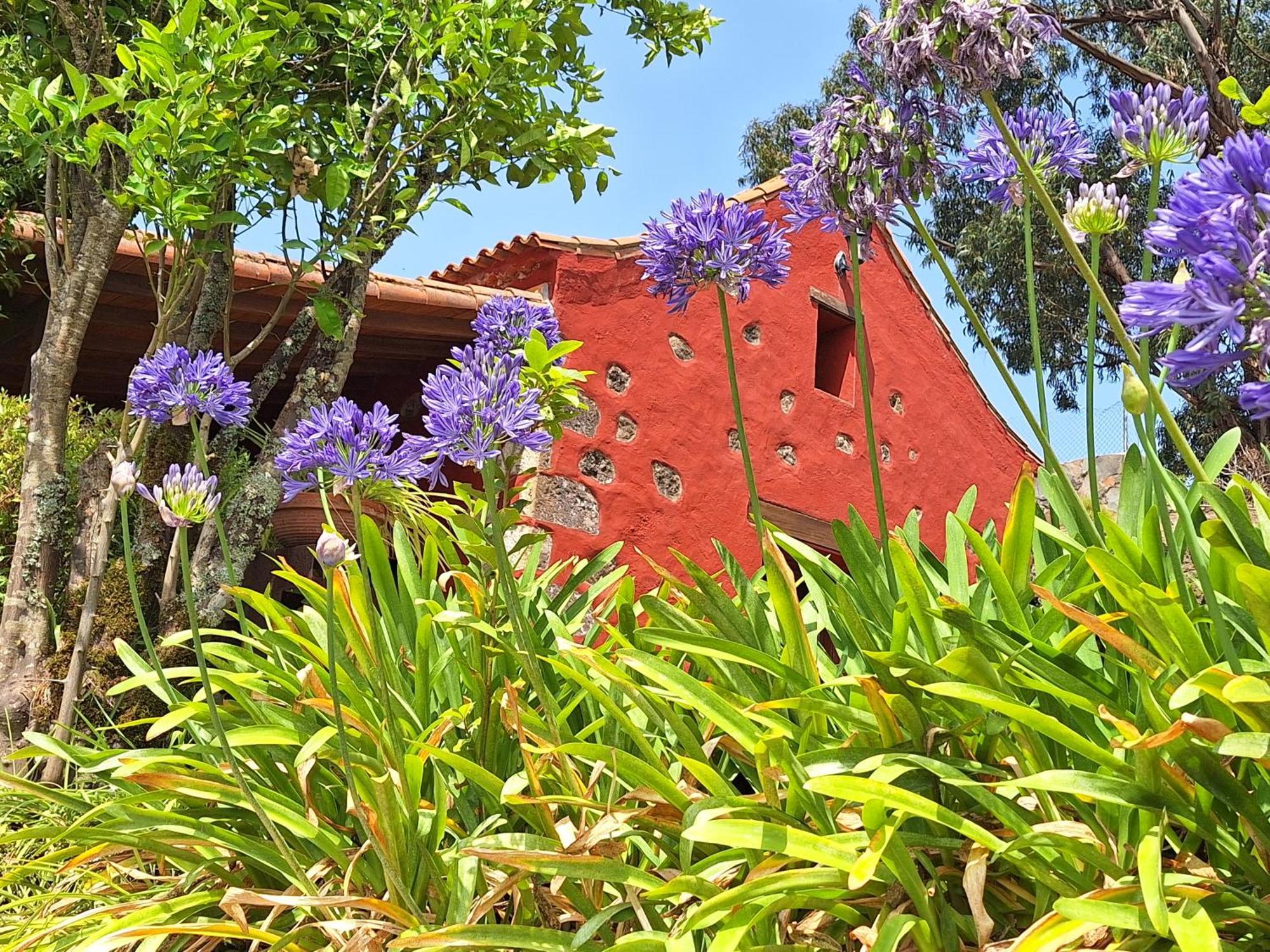 Casa Rural Con Piscina Privada El Roble Moya  Luaran gambar