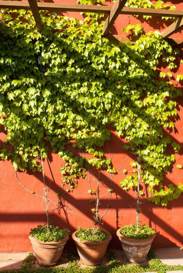 Casa Rural Con Piscina Privada El Roble Moya  Luaran gambar
